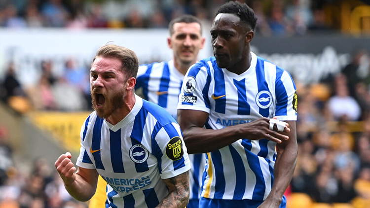 Phong-do-cua-Brighton-&-Hove-Albion