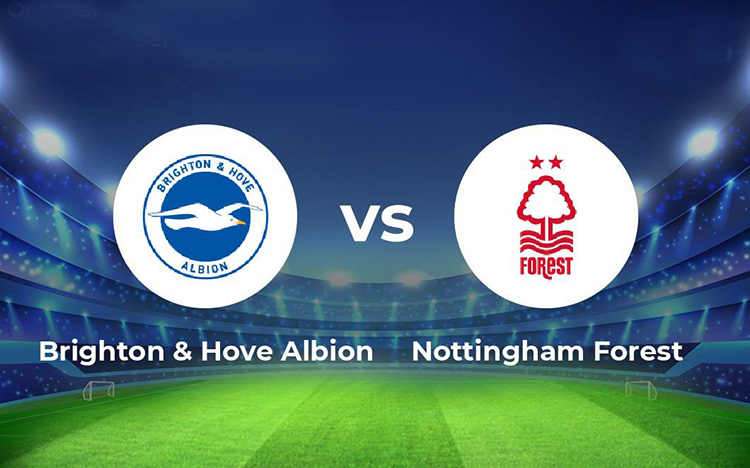 link-xem-truc-tiep-tran-dau-brighton-vs-nottingham forest